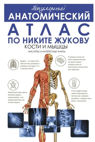 Обложка книги «Популярный анатомический атлас по Никите Жукову. Кости и мышцы. Инсайды и интересные факты»