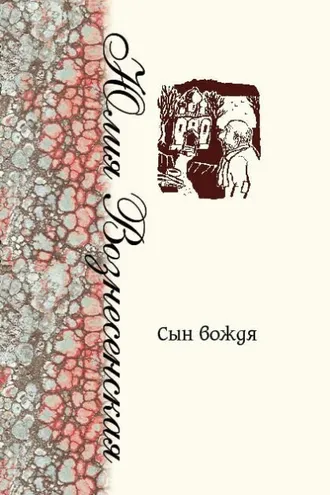 Обложка книги «Сын Вождя»