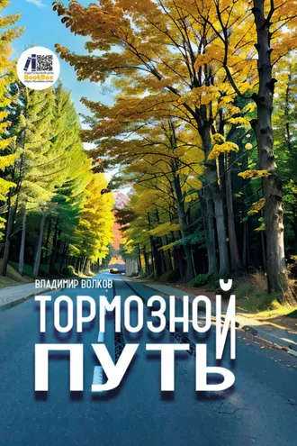 Обложка книги «Тормозной путь»
