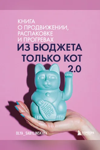 Обложка книги «Из бюджета только кот 2.0»