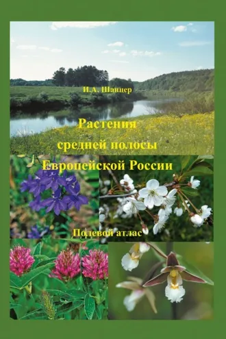 Обложка книги «Растения средней полосы Европейской России. Полевой атлас»