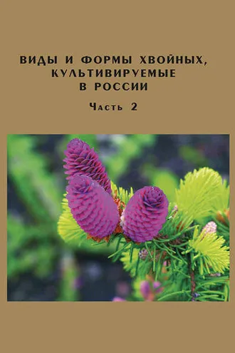 Обложка книги «Виды и формы хвойных, культивируемые в России. Часть 2. Picea A. Dietr., Thuja L.»