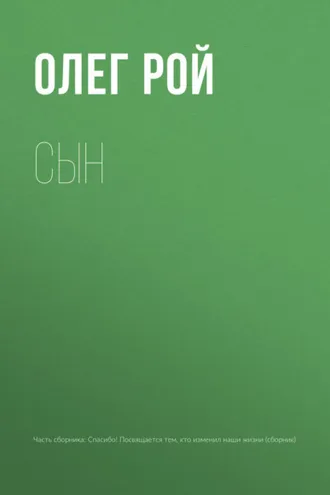 Обложка книги «Сын»