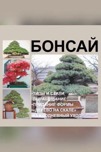 Обложка книги «Бонсай»