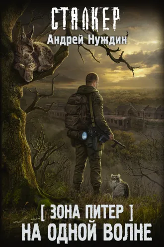 Обложка книги «Зона Питер. На одной волне»