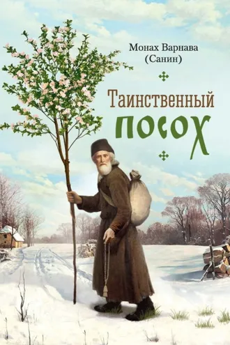 Обложка книги «Таинственный посох»