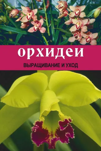 Обложка книги «Орхидеи: Выращивание и уход»