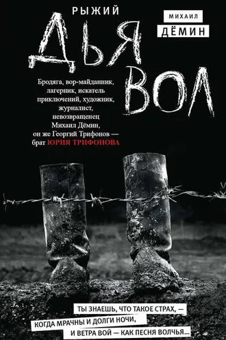 Обложка книги «Рыжий дьявол»