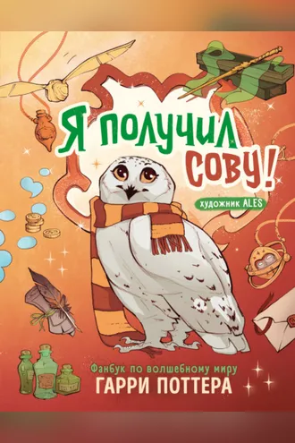 Обложка книги «Я получил сову! Фанбук по волшебному миру Гарри Поттера»