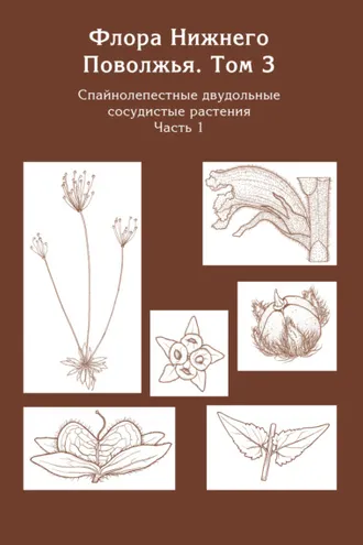 Обложка книги «Флора Нижнего Поволжья. Том 3. Часть 1. Спайнолепестные двудольные сосудистые растения (Pyrolaceae – Campanulaceae)»