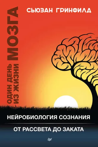 Обложка книги «Один день из жизни мозга»