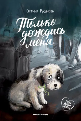 Обложка книги «Только дождись меня»