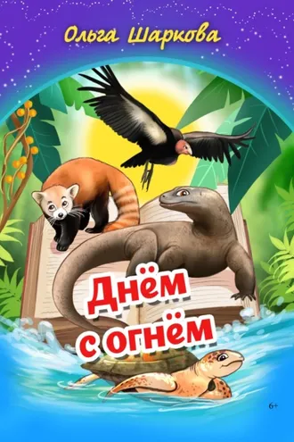 Обложка книги «Днём с огнём»