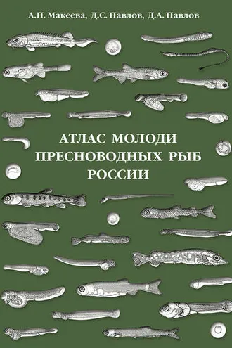 Обложка книги «Атлас молоди пресноводных рыб России»