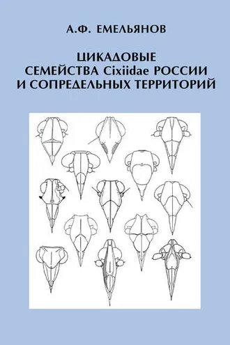Обложка книги «Цикадовые семейства Cixiidae России и сопредельных территорий»