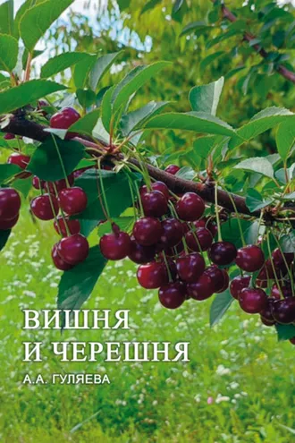 Обложка книги «Вишня и черешня»