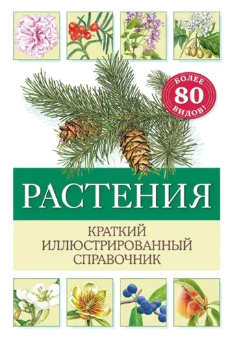 Обложка книги «Растения. Краткий иллюстрированный справочник»