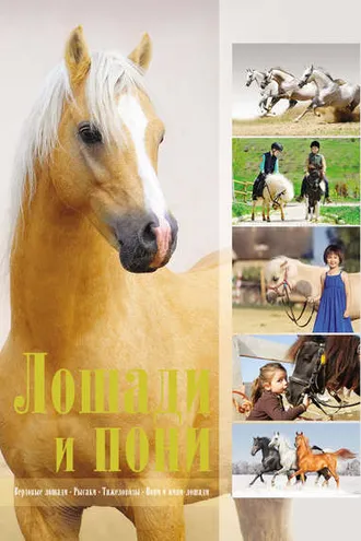 Обложка книги «Лошади и пони»