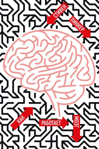 Обложка книги «Как работает мозг»