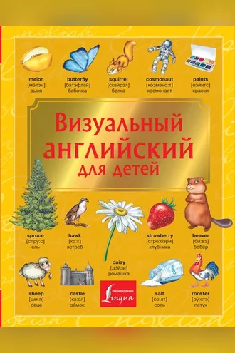 Обложка книги «Визуальный английский для детей»