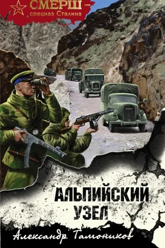 Обложка книги «Альпийский узел»