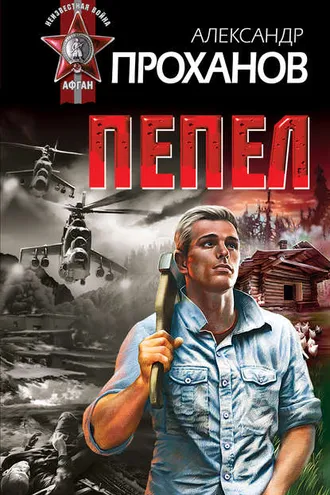 Обложка книги «Пепел»