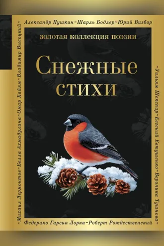 Обложка книги «Снежные стихи»