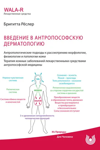 Обложка книги «Введение в антропософскую дерматологию. Антропологические подходы к рассмотрению морфологии, физиологии и патологии кожи. Терапия кожных заболеваний средствами антропософской медицины»