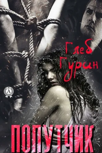 Обложка книги «Попутчик»