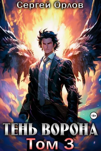 Обложка книги «Тень Ворона – 3»