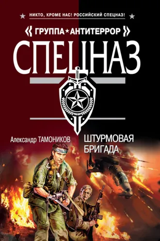 Обложка книги «Штурмовая бригада»