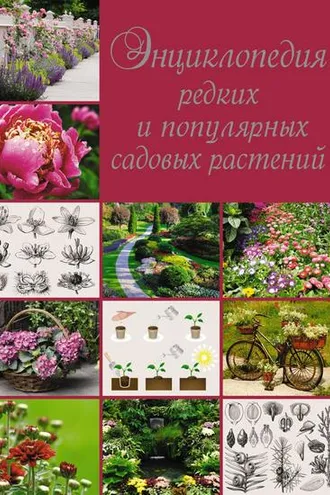 Обложка книги «Энциклопедия редких и популярных садовых растений»
