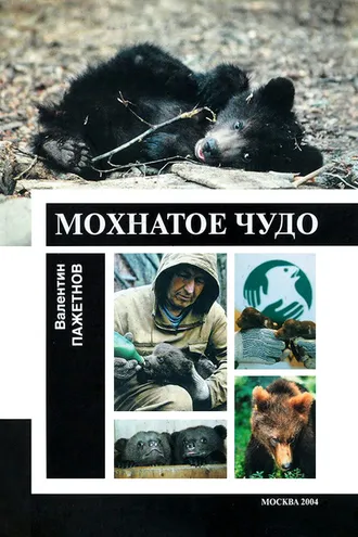Обложка книги «Мохнатое чудо»