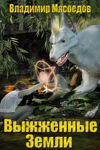 Обложка книги «Выжженные земли»