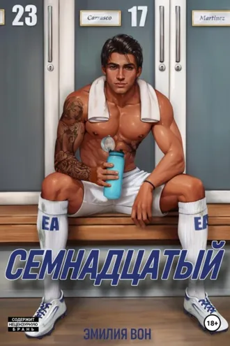 Обложка книги «Семнадцатый»