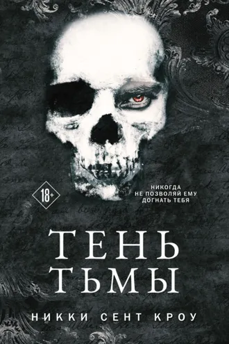 Обложка книги «Тень Тьмы»