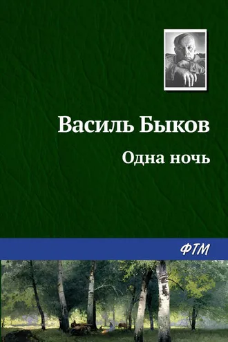 Обложка книги «Одна ночь»