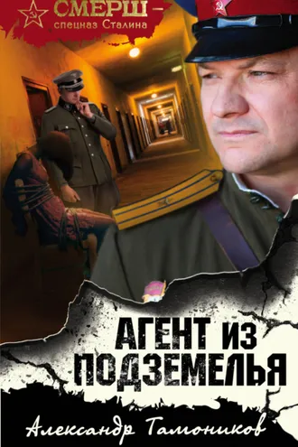 Обложка книги «Агент из подземелья»