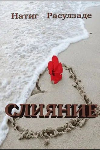 Обложка книги «Слияние»