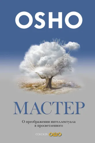 Обложка книги «Мастер. О преображении интеллектуала в просветленного»