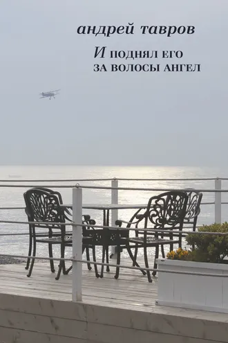 Обложка книги «И поднял его за волосы ангел»
