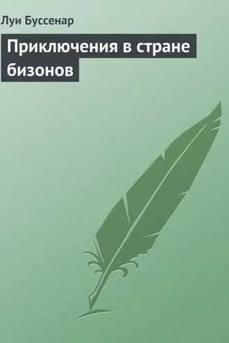 Обложка книги «Приключения в стране бизонов»