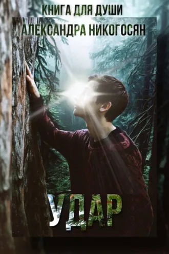 Обложка книги «Удар»