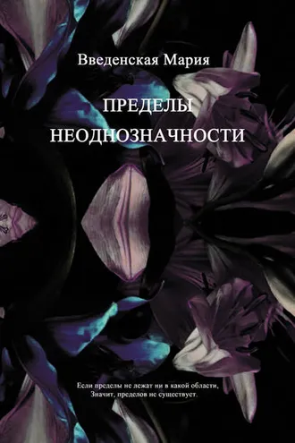 Обложка книги «Пределы неоднозначности»