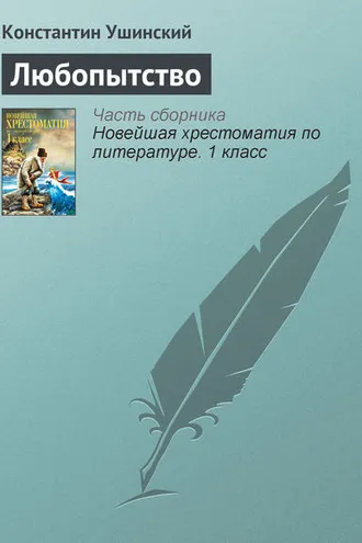 Обложка книги «Любопытство»