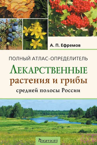 Обложка книги «Лекарственные растения и грибы средней полосы России»