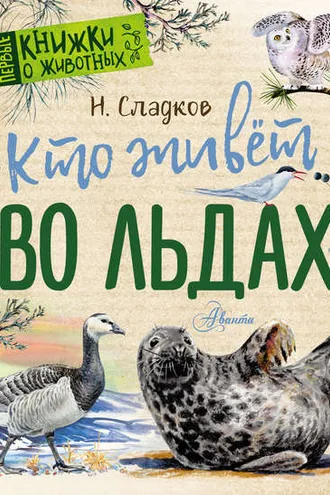 Обложка книги «Кто живёт во льдах. Рассказы»