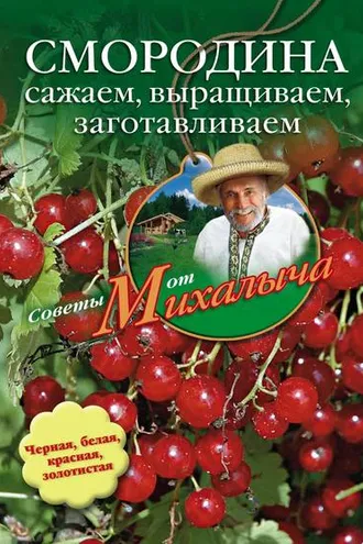 Обложка книги «Смородина. Сажаем, выращиваем, заготавливаем»