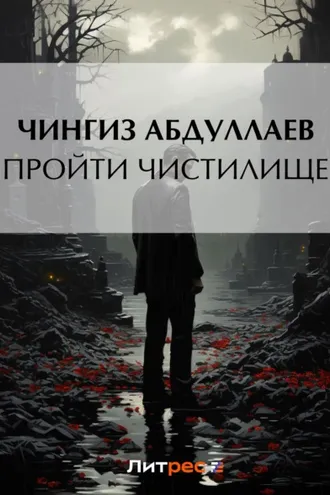 Обложка книги «Пройти чистилище»