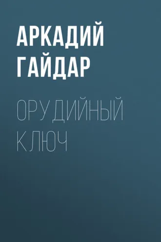 Обложка книги «Орудийный ключ»